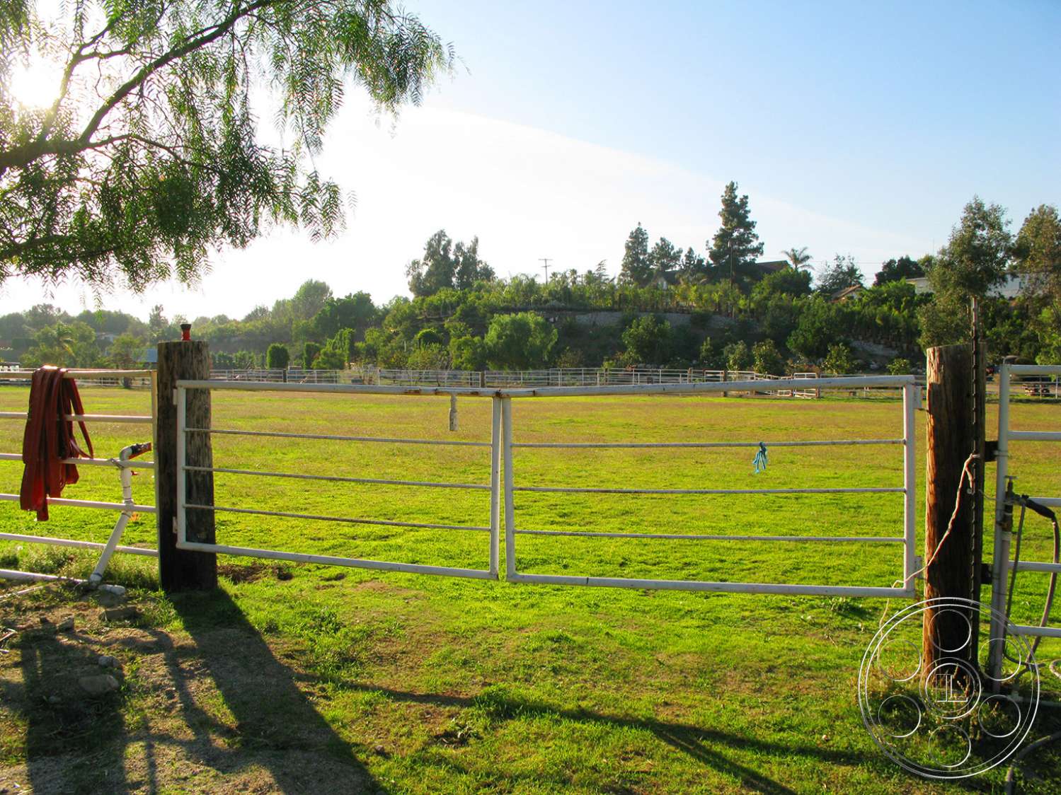 Ranch 6 - outdoors, rural, countryside, field, grassland, grass, farm, meadow, pasture, ranch