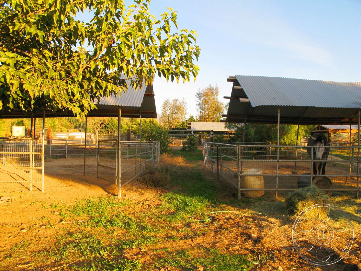 Ranch 6 - shelter, outdoors, rural, countryside, tree, vegetation, hut, yard, grass
