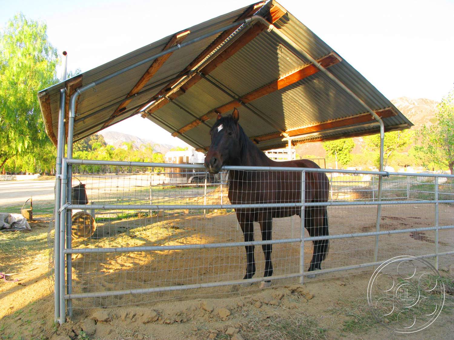 Ranch 6 - animal, outdoors, countryside, mammal, horse, colt horse, andalusian horse