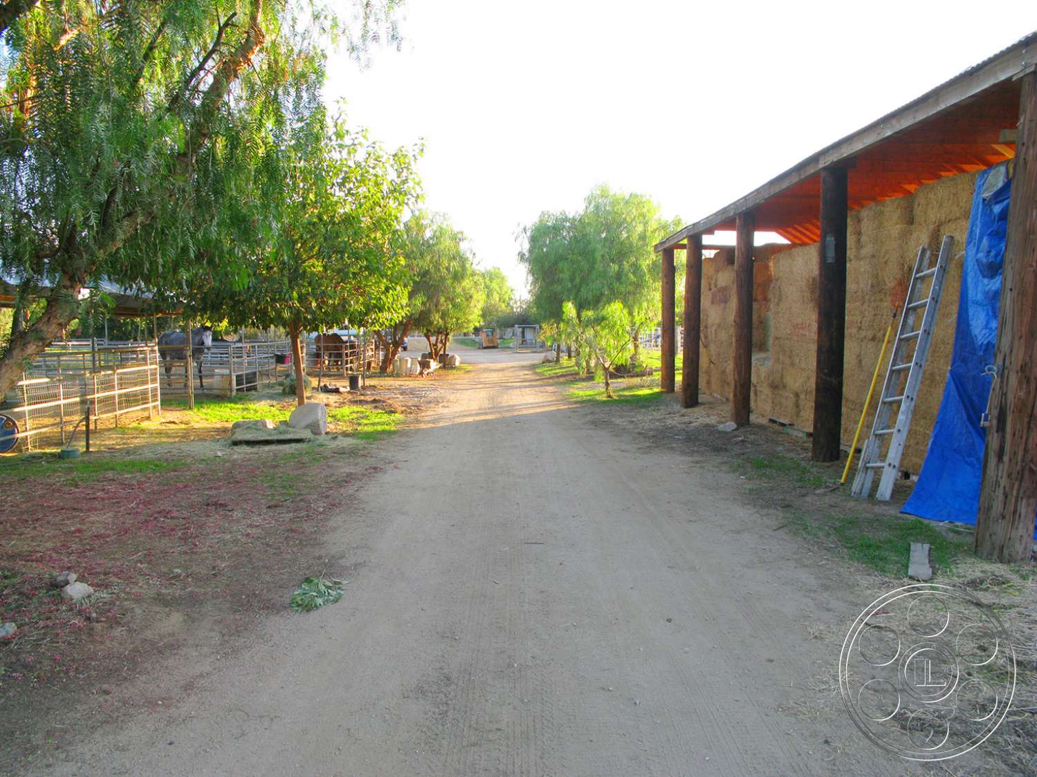 Ranch 6 - road, tarmac, asphalt, outdoors