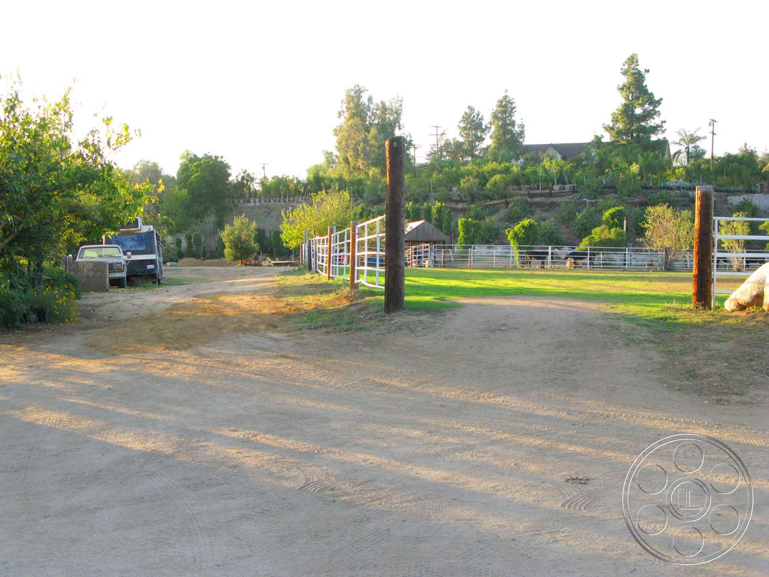 Ranch 6 - road, tarmac, asphalt, outdoors, intersection, tree, vegetation, fir, abies, grass