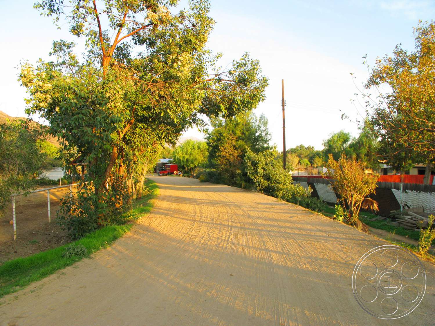 Ranch 6 - road, tarmac, asphalt, outdoors, tree, path, tree trunk